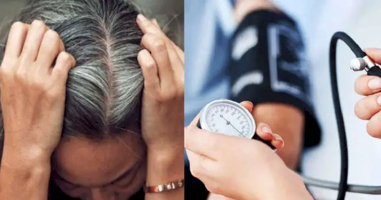 શું હાઈ બીપીના દર્દીઓના વાળ વહેલા સફેદ થાય છે? જાણો તેમની વચ્ચે શું કનેક્શન છે.